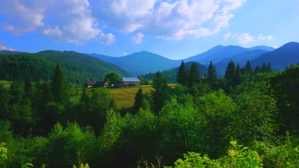 Bergwandeling Met Karpaten Landschappen Weelderige Bossen Dzembronia Chornohora Range Oekraïne — Stockvideo