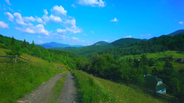 乌克兰Dzembronia 喀尔巴阡山脉山地草地和森林全景 — 图库视频影像