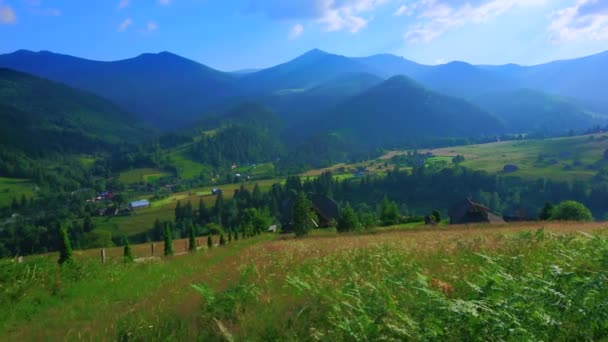Panorama Avec Les Montures Pip Ivan Smotrych Chornohora Range Pâturage — Video