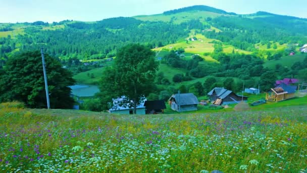 Die Malerische Wiese Mit Bunten Wildblumen Vor Der Berglandschaft Der — Stockvideo