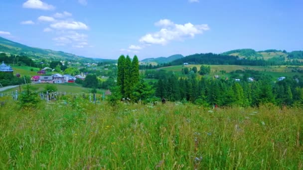 Panorama Der Malerischen Grünen Bergwiese Mit Hohen Gräsern Und Farbenfrohen — Stockvideo