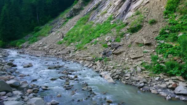 Rio Cheremosh Preto Raso Com Fundo Rochoso Dzembronia Cárpatos Ucrânia — Vídeo de Stock