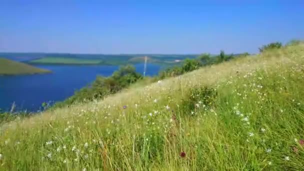 Podilski Tovtry National Nature Park Panorama Con Flores Silvestres Prado — Vídeo de stock