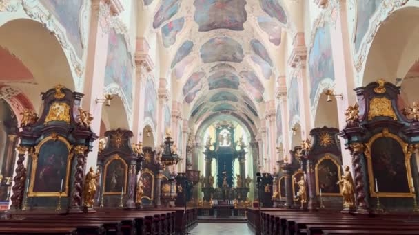Vertical Panorama Basilica Assumption Our Lady Prayer Hall Moulding Carvings — Stock Video