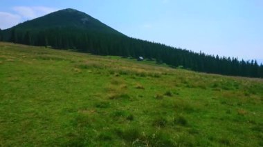 Dağ çayırı Polonyna Khomyak 'ın Panorama' sı Khomyak ve Synyak, Bukovel, Karpatlar, Ukrayna
