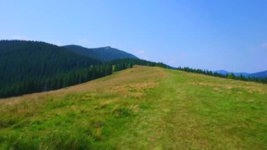 Gorgany Sıradağları 'nda yemyeşil Polonyna Khomyak dağ çayırı, arka planda Khomyak Dağı ve Synyak, Karpatlar ve Ukrayna manzaralı yürüyüşün tadını çıkarın.