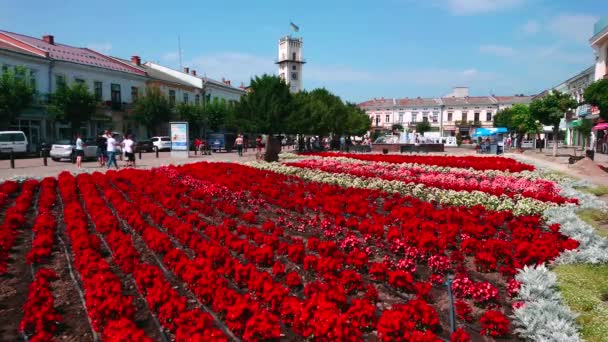 Világos Vörös Virágágyások Taras Shevchenko Tér Torony Városháza Háttérben Kolomija — Stock videók