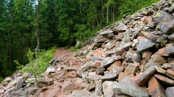 Der Hang Des Khomyak Berges Mit Steinschutt Und Hohen Nadelwäldern — Stockvideo