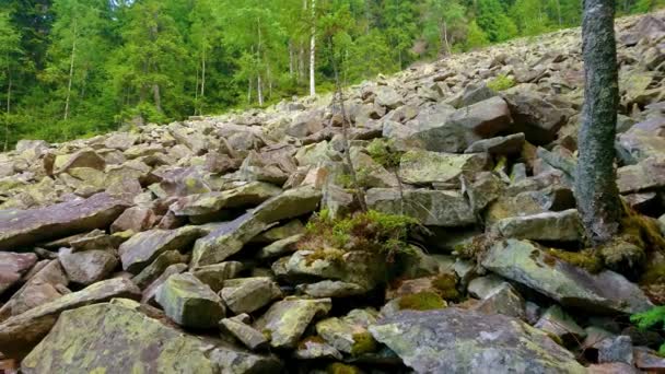 Blick Auf Den Steilen Geröllhang Des Khomyak Gebirges Vor Sattgrünem — Stockvideo