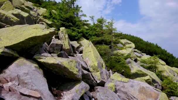 ハムヤ山の急斜面のパノラマ 石の残骸は明るい緑色のレンガで覆われ 風景を飾っています ゴーガニー山脈 ブコベル ウクライナ — ストック動画