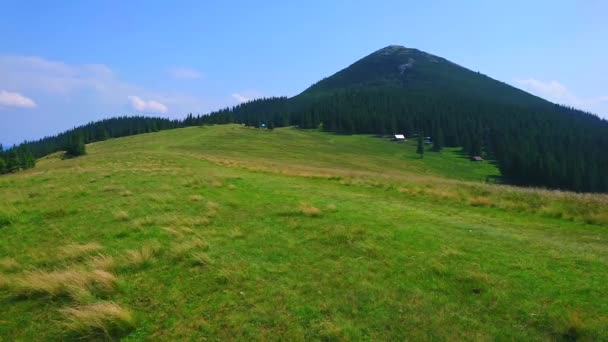 緑の山の後ろのホモヤック山ポロニーナコムヤ ブコヴェル カルパティシャン ウクライナ — ストック動画