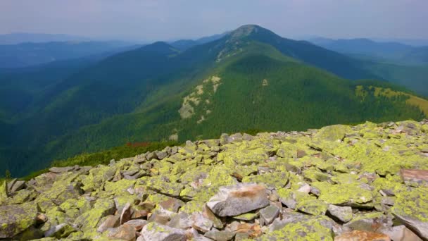 Las Pintorescas Laderas Verdes Pico Del Monte Synyak Desde Cima — Vídeo de stock