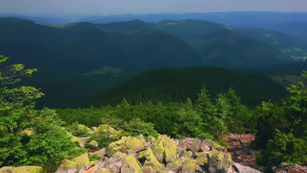 Panorama Scree Slope Mount Khomyak Lush Conifer Forest Gorgany Range — Stock Video
