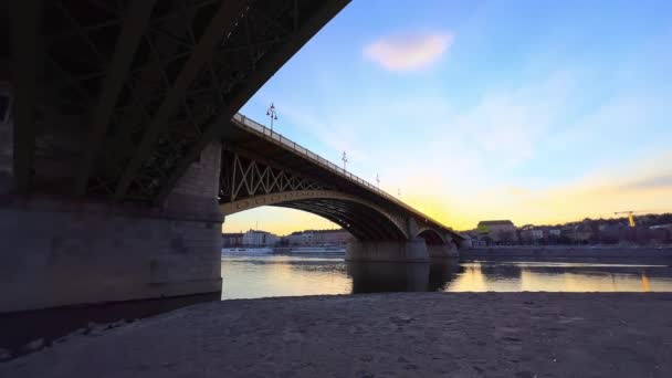 Terraplén Del Río Danubio Isla Margarita Abre Vista Sobre Puente — Vídeos de Stock