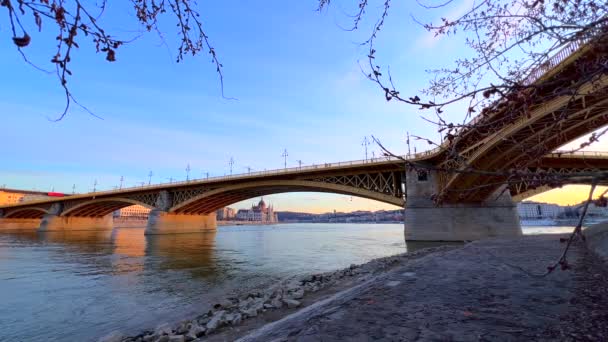 マーガレット島 ブダペスト ハンガリーのダヌーブ川のエンバンクから3ウェイマーガレット橋 — ストック動画