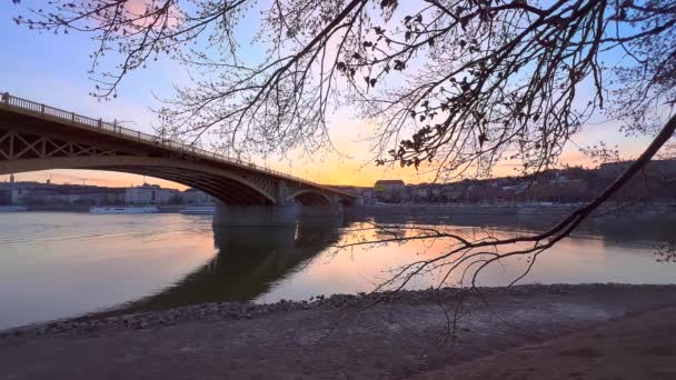 マーガレット ブリッジは マーガレット島 ブダペスト ハンガリーのダナウ川のエンバンクから緑豊かな木の枝を通ってアーカイブされたマーガレット橋 — ストック動画