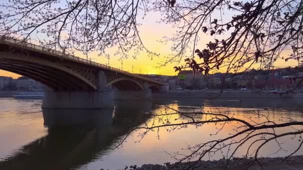Panorama Vom Ufer Der Margareteninsel Mit Blick Auf Die Donau — Stockvideo