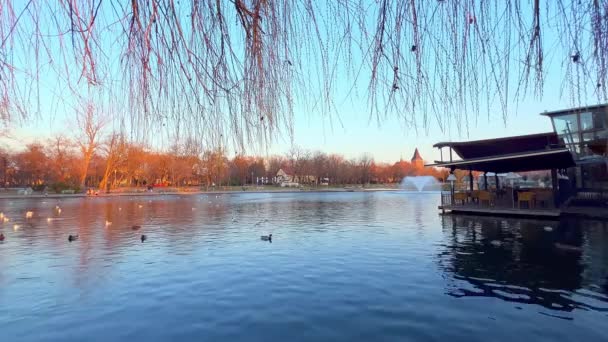 Krásný Západ Slunce Nad Městským Parkem Výhledem Jezero City Park — Stock video