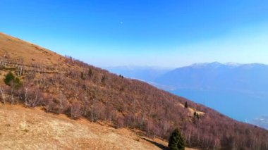 Monte Cimetta 'nın yamacındaki Monte Cimetta' da bulunan kuru sarı bahar otlağı ve huş ağaçları, İsviçre 'nin Ticino şehrinde kaldırılarak kaldırılmıştır.