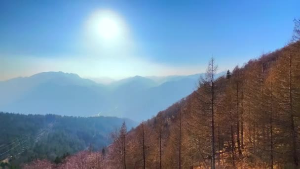 Панорамний Туманний Гірський Пейзаж Верхової Їзди Cimetta Mount Cable Car — стокове відео