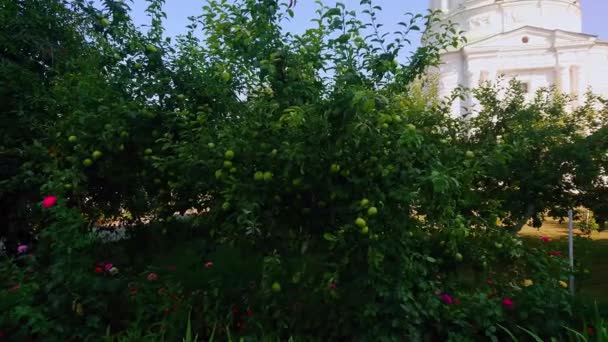 Панорама Мальовничого Яблучного Саду Середньовічного Барокового Дзвіниці Монастиря Воздвиження Святого — стокове відео