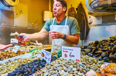 Atarazana Market, Malaga, İspanya 'daki tezgahın tezgahında çeşitli taze yumuşakçalar var.