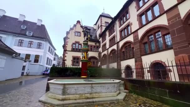 Devlet Arşivleri Nin Staatarchivel Stadt Tarihi Binasının Önündeki Zarif Sevogel — Stok video