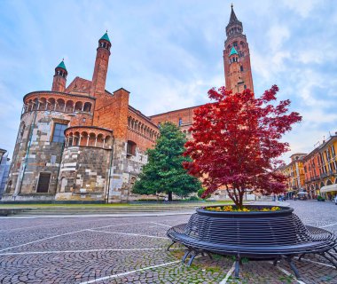 Cremona Katedrali 'nin önünde Japon akçaağacı olan küçük çiçek tarhı, Largo Boccaccino, İtalya