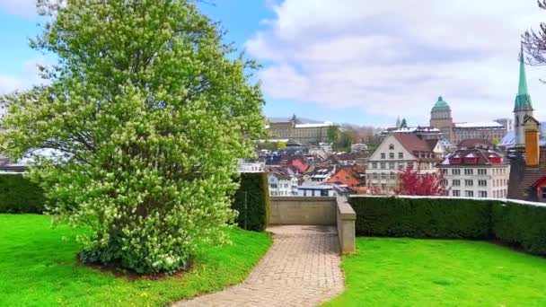 Walk Small Topiary Garden Lindenhof Hill Slope Juicy Green Lawn — Stock Video