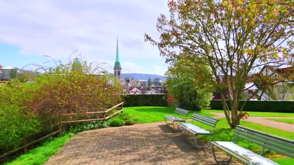 Old Roofs Spires Zurich Small Green Topiary Garden Located Slope — Stock Video