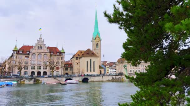 スイスのフライトマンテスター教会とシュタットハウスチューリッヒ 自治体 ビルを眺めるリムマット川岸の緑豊かな松の木 — ストック動画