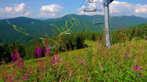 Panoramiczny Krajobraz Górski Jasnymi Polnymi Kwiatami Wyciągiem Krzesełkowym Górami Gorganów — Wideo stockowe