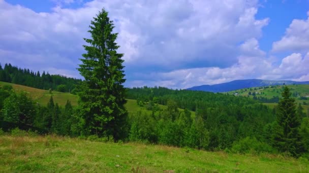 Panorama Pittoresque Pâturage Fauché Situé Dans Les Montagnes Milieu Des — Video