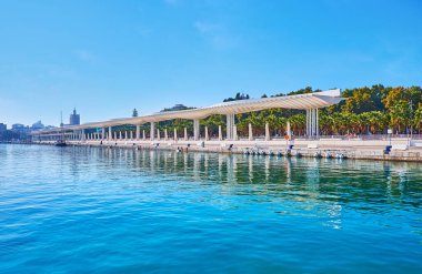Şehir parkının yemyeşil ağaçlarının önünde gezinen sürpriz Palm Grove manzarası, İspanya 'nın Malaga Limanı manzarası