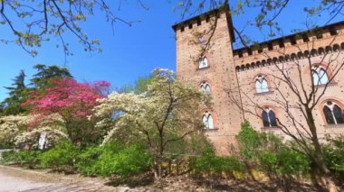 The different colored blossom of Cornus Florida (flowering dogwood) trees at the old brick wall of Visconti Castle, Pavia, Italy