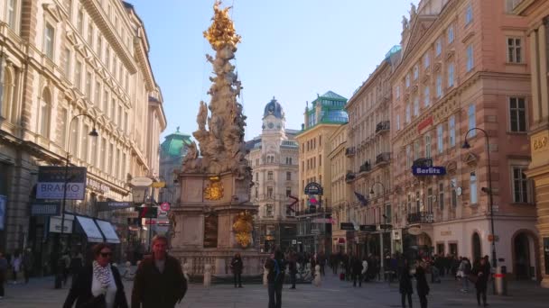 Viena Austria Febrero 2019 Plaga Columna Santísima Trinidad Wiener Pestsaule — Vídeos de Stock