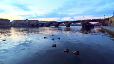Vltava Nehri 'nde yüzen yaban ördekleri sürüsü tarihi taş Palacky Köprüsü' ne karşı alacakaranlıkta, Prag, Çek Cumhuriyeti