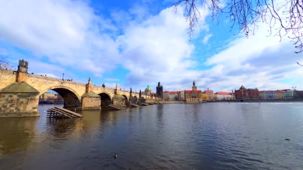 Spacer Wzdłuż Brzegu Wełtawy Widokiem Średniowieczny Most Karola Stare Miasto — Wideo stockowe