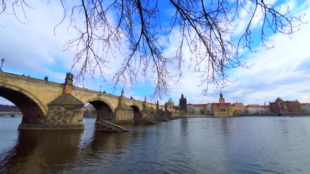Vltava Ποταμού Ανάχωμα Παρατηρώντας Gothic Γλυπτό Πέτρα Γέφυρα Του Καρόλου — Αρχείο Βίντεο