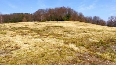 Alpe Vicania Montane çayır, Vico Morcote, İsviçre 'nin sarı kuru otlarının arasında yürü