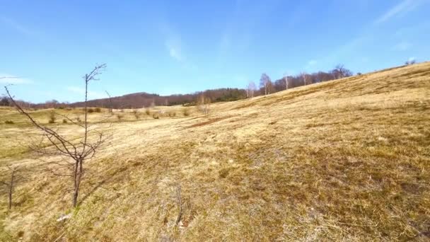 아름다운 건조한 노란색 잔디와 배경의 Vico Morcote 스위스 — 비디오