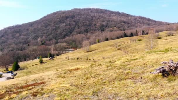 Paesaggio Panoramico Dell Alpe Vicania Prato Montano Coperto Erba Gialla — Video Stock