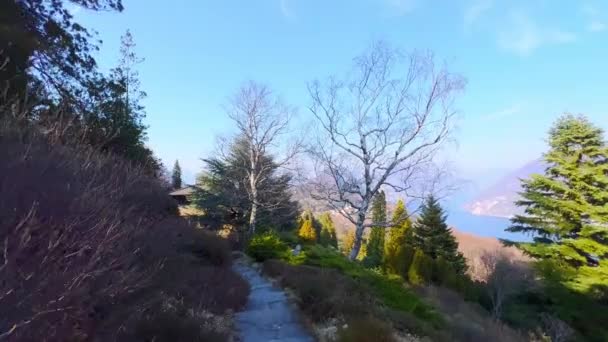 瑞士卡罗纳 沿着长满郁郁葱葱的绿树 杜鹃灌木和花朵的圣格拉托公园狭窄的小巷走去 — 图库视频影像