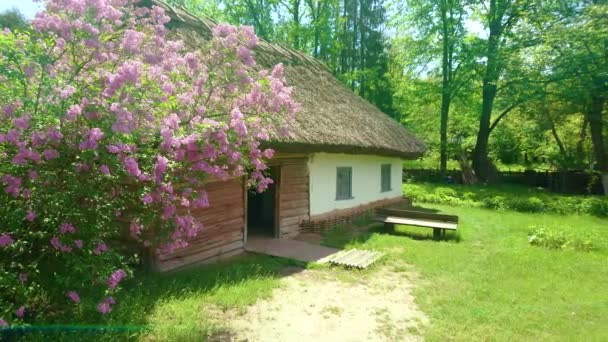 Manzaralı Köy Panoraması Çiçek Açan Leylak Çalısı Yeşil Bir Mutfak — Stok video