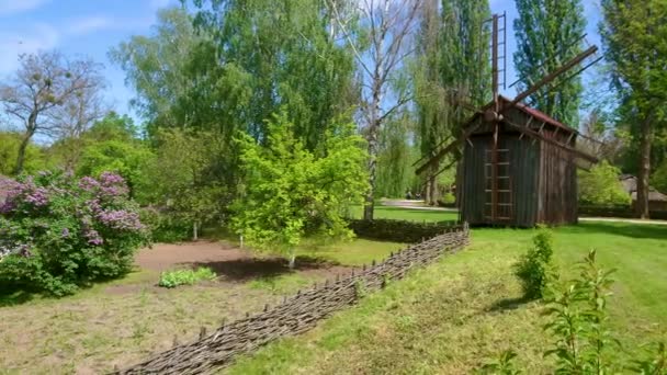乌克兰Pereiaslav Scansen 传统木制风车和粉刷过的哈塔老屋的全景 四周是一个开着百合花的小花园 — 图库视频影像
