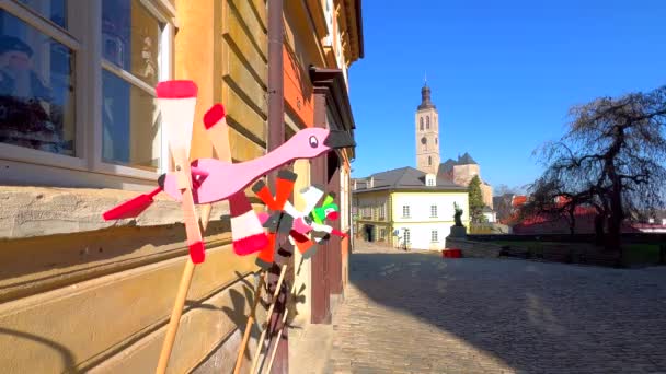 チェコ共和国クトナホラのバルボルスカ通りの家の壁に対してフラミンゴ クレーン オウムの形をした小さな木製の風のスピナー — ストック動画