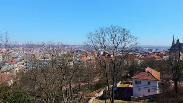 브르노의 언덕에서 파노라마 공원의 지붕과 대성당과 Jan Amos Komensky 체코의 — 비디오