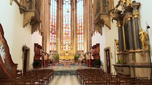 Brno Tsjechië Maart 2022 Spectaculair Middeleeuws Gotisch Interieur Van Sint — Stockvideo