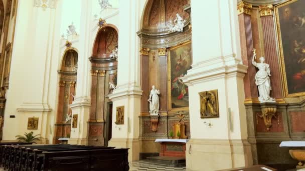 Panorama Sali Modlitewnej Wspaniałej Zabytkowej Katedry Piotra Pawła Brnie Rzeźbami — Wideo stockowe