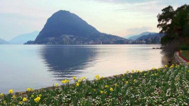 Lugano Gölü ve Monte San Salvatore Gölü Ciani Park 'tan gelen bulutlu sabah gökyüzüne karşı jonquils ve papatyalardan oluşan güzel çiçeklerle Lugano, İsviçre